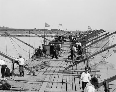 Il molo di pesca, Chicago, Illinois, c.1910-20 da Detroit Publishing Co.